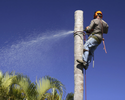 Tony Gomez Tree Service