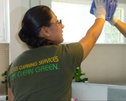 Lotus Cleaning Services