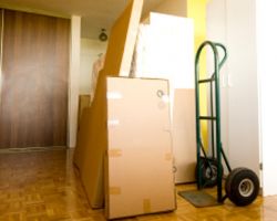 San Jose Movers