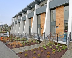 Green Canopy Homes