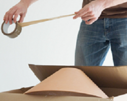 Bay Area Movers Inc