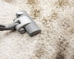 Carpet Cleaning Spring TX