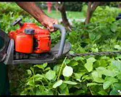 USA Tree Service Pros