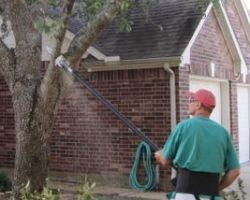 Colony Tree Service