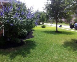 Plantation Irrigation & Landscaping