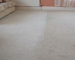 Area Wide Carpet Cleaning Inc.