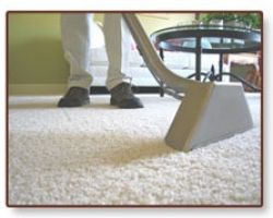 Prestige Carpet Cleaning