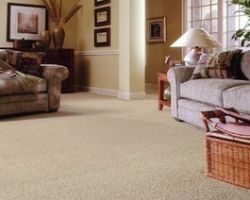 Quality Assurance Carpet Care