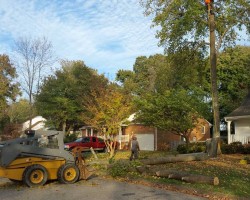 Virginia Stump Grinders