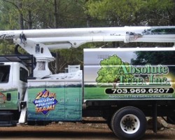 Absolute Tree Service Inc.